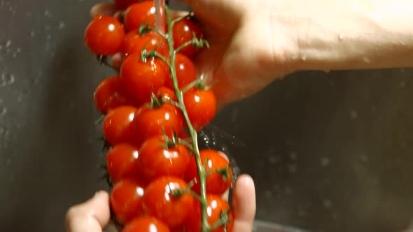 Male Hands Washing Tomatoes.