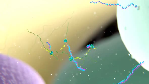 Scientific animated video of mitochondria