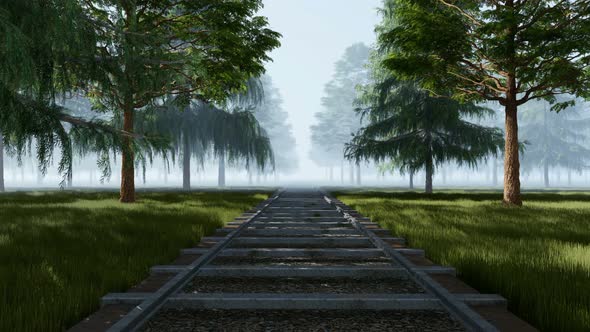 Railway In Foggy Day