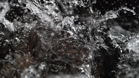 Throwing mushroom into water. Slow Motion.