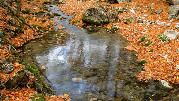 Lake in Autumn Forest