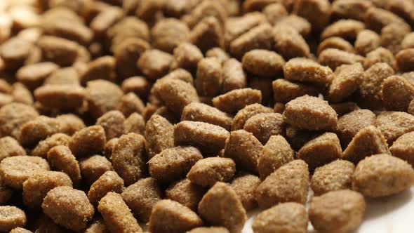 Food pellets for cats or dogs close-up 4K 2160p 30fps UltraHD panning footage - Dry meal animal meal