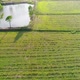 Top View Of Farm - VideoHive Item for Sale