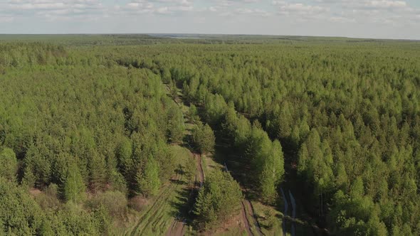 Road Through Mixed Forest in the Summer Against the Sky