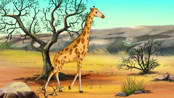 African giraffes in the savanna on a sunny day animation