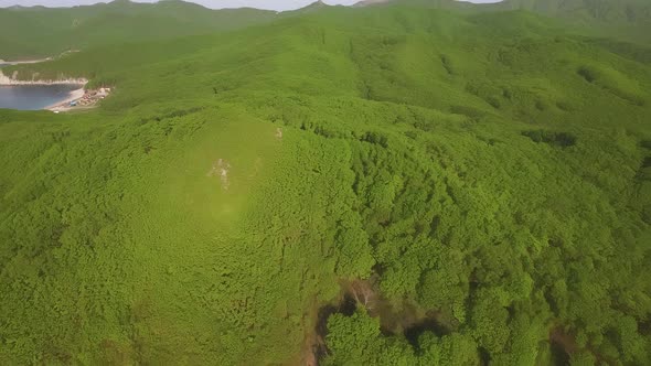 Drone Flight Over a Green Forest Covered with Green Vegetation