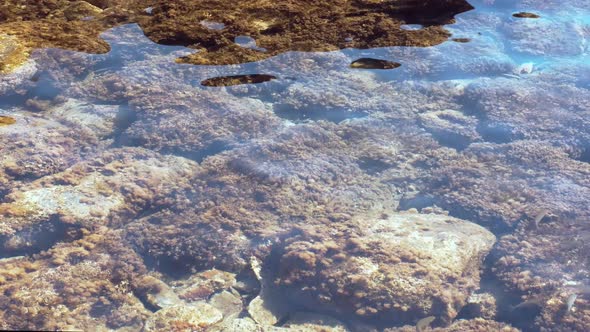 Transparent Water Of The Sea