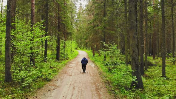 Woman Walking And Exercising On Forest Trail