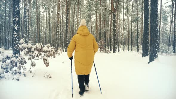 Elderly Woman Practicing Nordic Walking In Forest. Sticks Walking On Winter Wood. Sport Activities.