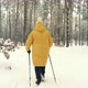 Elderly Woman Practicing Nordic Walking In Forest. Sticks Walking On Winter Wood. Sport Activities. - VideoHive Item for Sale