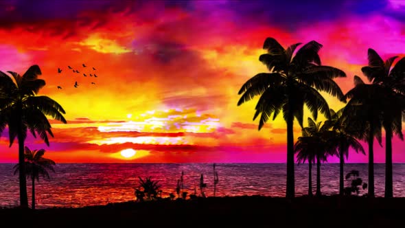 Sunset at sea and palm trees