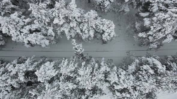 Winter railway in the forest – stock footage from drone