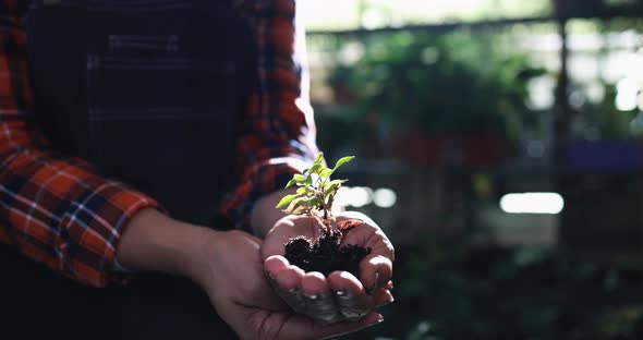 Woman holding plant inside greenhouse garden