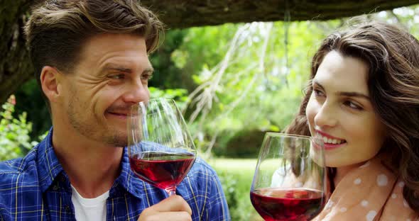 Happy couple having red wine in park