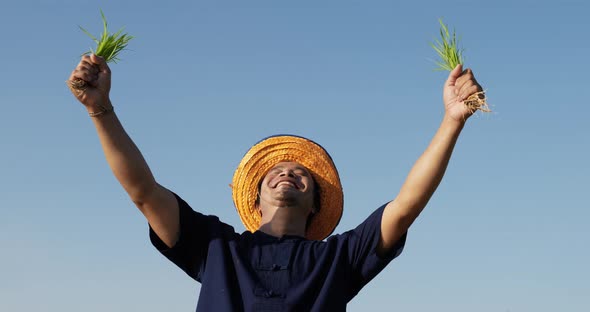 Young farmer raise the rice seedlings over his head
