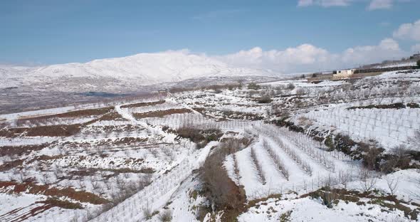 Aerial view of a dry vineyard in the snow, Golan Heights, Israel.