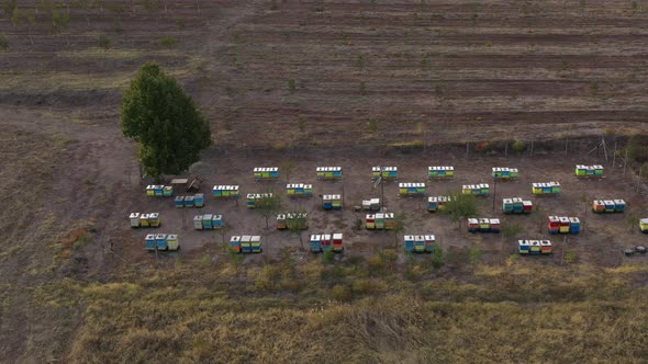 Independent Automated Beehives 