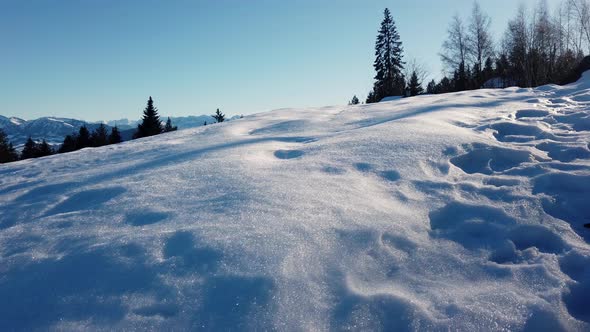 A hill of snow during sunny day with pine trees an blue sky
