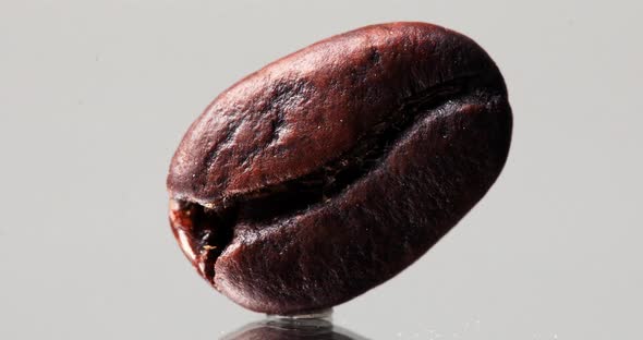 Closeup Macro Shot of a Tilted Coffee Bean with a Moving Light  Quality