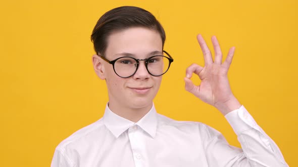 Cheerful Schoolboy Gesturing Okay Sign Posing Over Yellow Studio Background