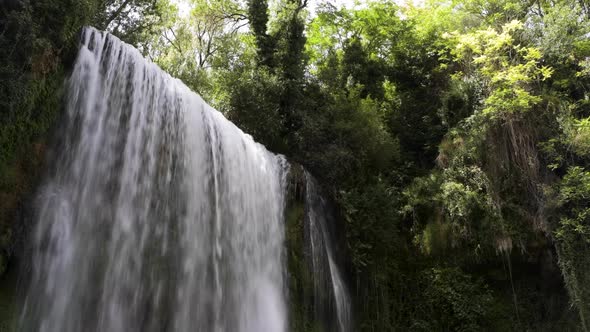 Waterfall under the trees