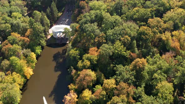 Beautiful flight above the trees. Autumn forest.