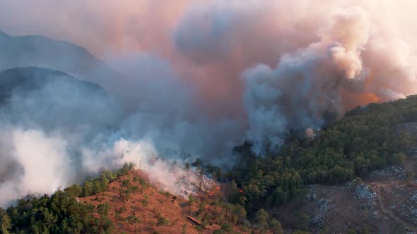 Forest Fire in the Mountains