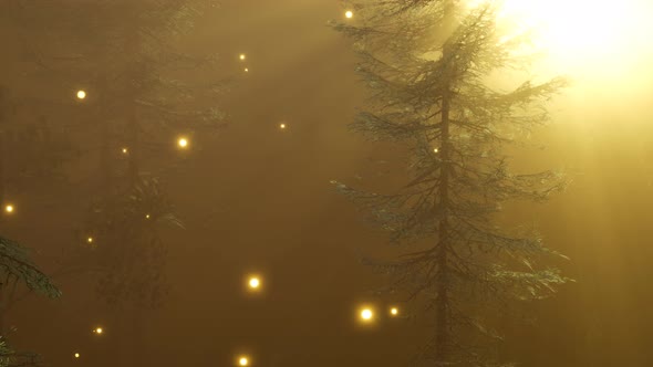 Magical Forest with Sparkles alt