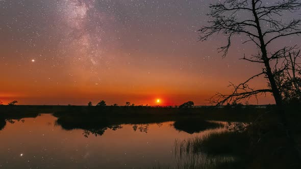 Swamp Nature Landscape