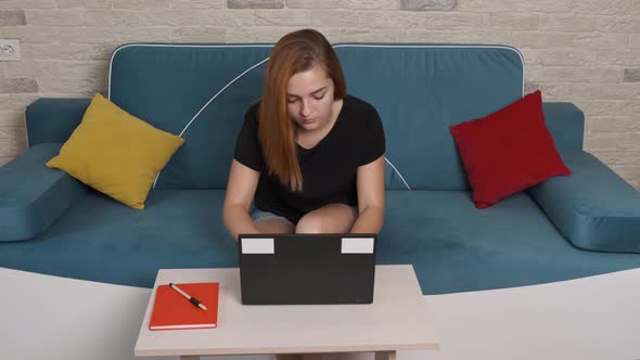 Concentrated Young Woman That Is Sitting on a Blue Sofa and Working at the Laptop.