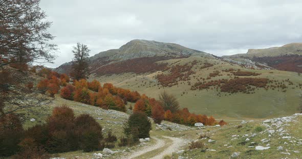 Highlands or National Park in Autumn Spring Season