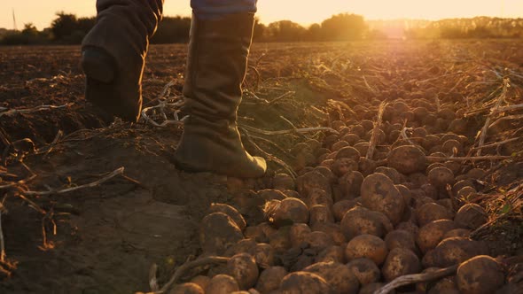 Farmer in Boots Walks Across the Field