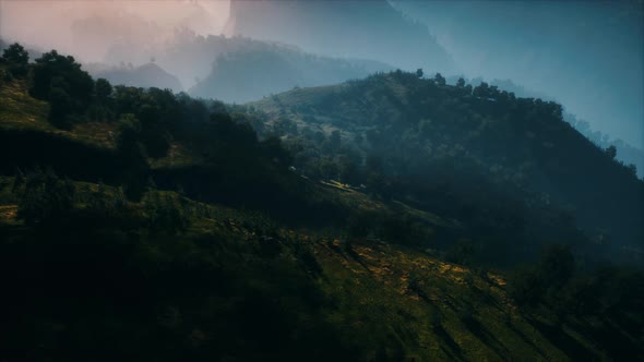 Autumn Forest on Green Rocky Hills