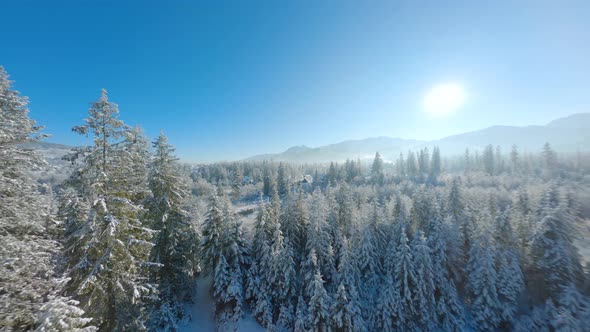 Winter in a Mountain Village