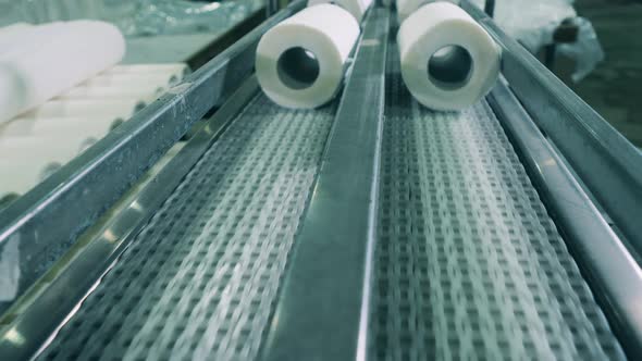 Metal Conveyor with Batches of Toilet Paper Rolls