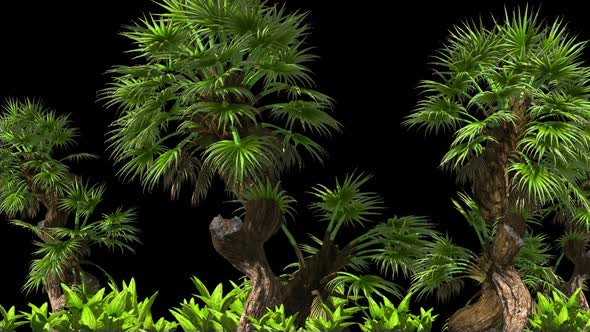 Tropical Palm Trees And Bushes  alt