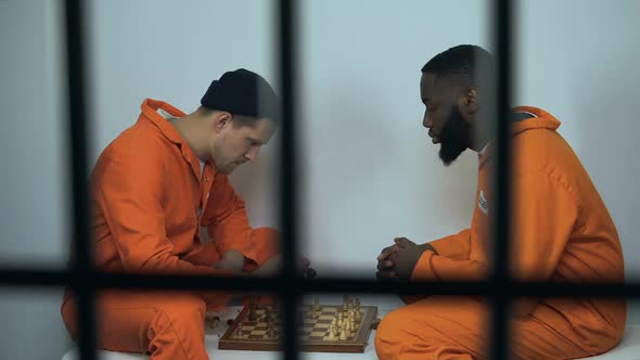 Caucasian and Afro-American Jail Inmates Playing Chess in Cell, Hobby in Prison