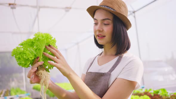 Caucasian beautiful young farmer pretty girl working in vegetables hydroponic farm with happiness.