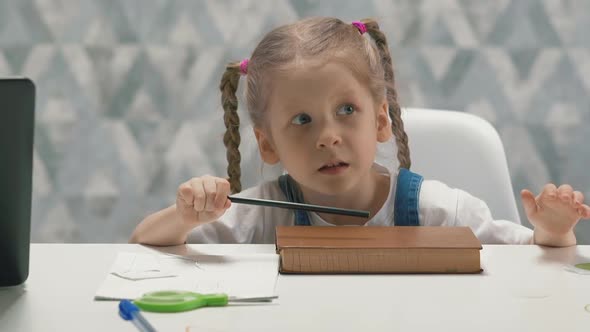 Portrait of Little Girl with Pigtails in Sundress