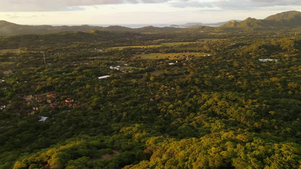 Slow cinematic drone video above the thick rainforest of Panama. Slowly forwarding aerial shot leavi