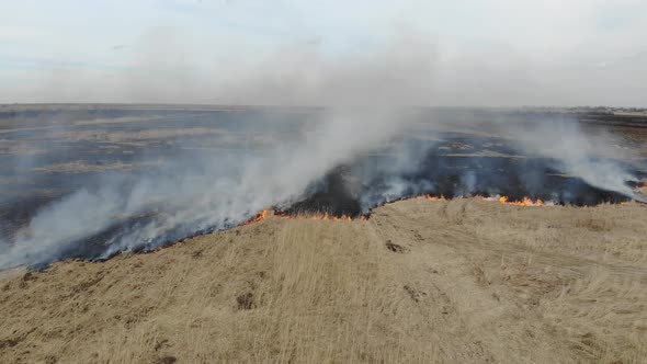 Fire destroys flora. Burning dry grass in  field, pan, Disaster and negative impact on flora