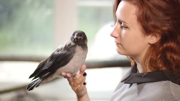 Young Redhead Woman Looks at Curious Chilling Grey Hooded Crow at Home on Window Background