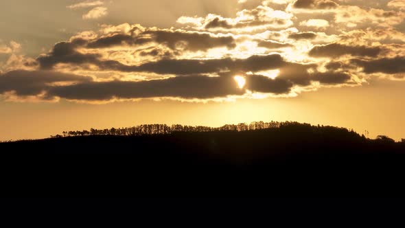 Sunset at rural life scenery. Rural landscape. Eucalyptus trees.