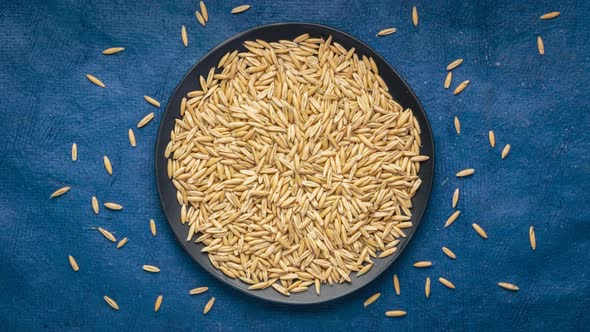 Organic oat grain is falling into black ceramic plate 