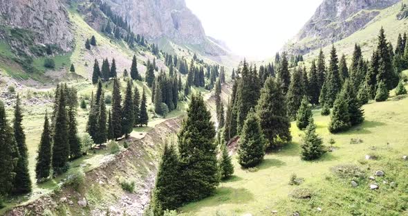 High Rocks in a Green Gorge. View From a Drone.