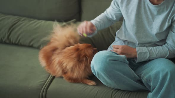 Cheerful Asian woman petting her dog