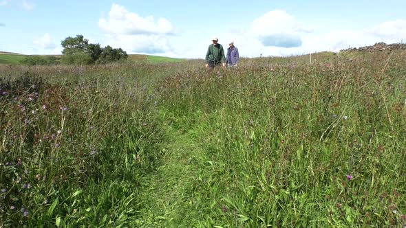 Elderly couple walking through the wildflower meadow at Augill Pasture nature reserve in the Eden Va