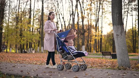 woman walks with a stroller in the autumn forest. Mom and her baby in a stroller