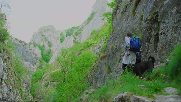 Hikers on a mountain trail