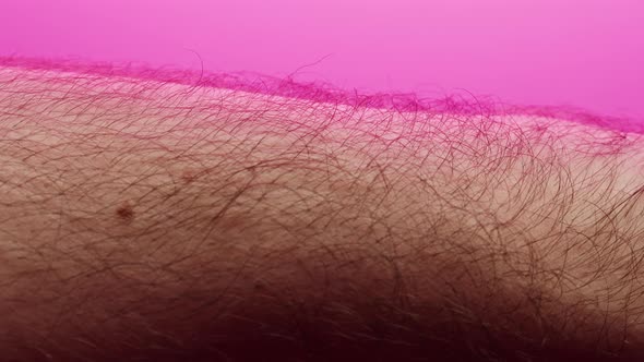 Hand Skin with Hair Closeup